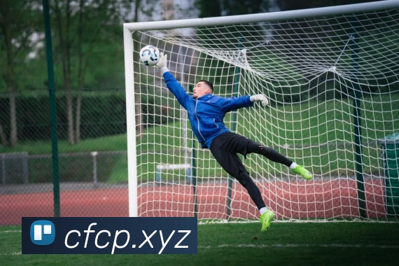 互动解说服务